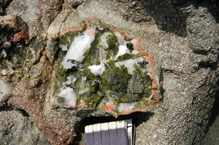 Detail of the previous image. Here we can also appreciate the presence of dark green chlorite. Note the strong porphyric character of the andesite marked by the presence of plagioclase (white rectangles).