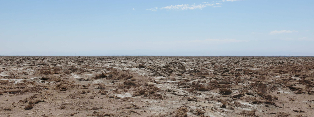 The saline crust of the Salar de Pintados (Pintado Salt Flats), which covers an area of 850 km<sup>2</sup> on the eastern site of the Coastal Ranges (Cordillera de la Costa). Carbonates, sulfates and chlorides.