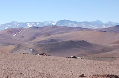 Camino al Salar de Maricunga; al fondo la cadena andina.