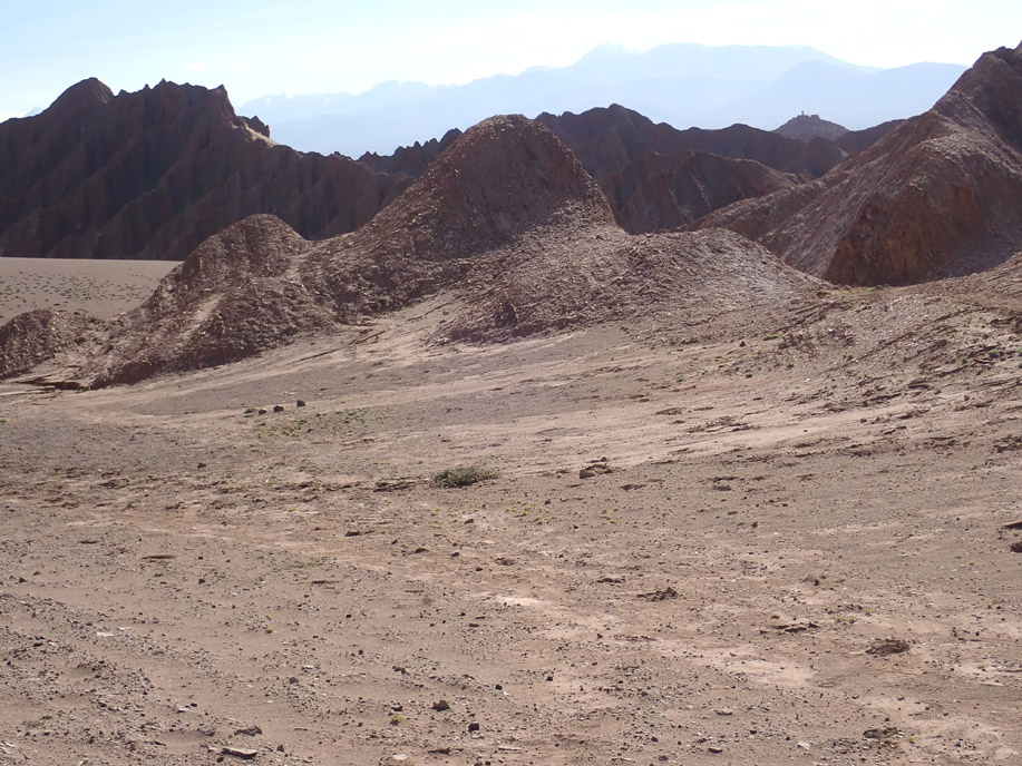 Valle de Marte, facies mas salinas de la Formación San Pedro.