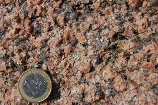 Punto 1. Detalle de la mineralogía y textura del granito rosa (facies de La Clarté). Note el alto contenido en feldespato (microclina) y cuarzo.