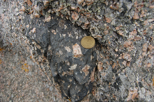Punto 4. Detalle de la anterior. Note la presencia masiva de feldespato en el enclave y en la roca que lo encaja. Observar además el flujo plástico de los minerales en los bordes del enclave.